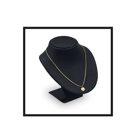 The Benvevolent, Gold Necklace 925 sterling silver, 14k gold pendant & talisman front 